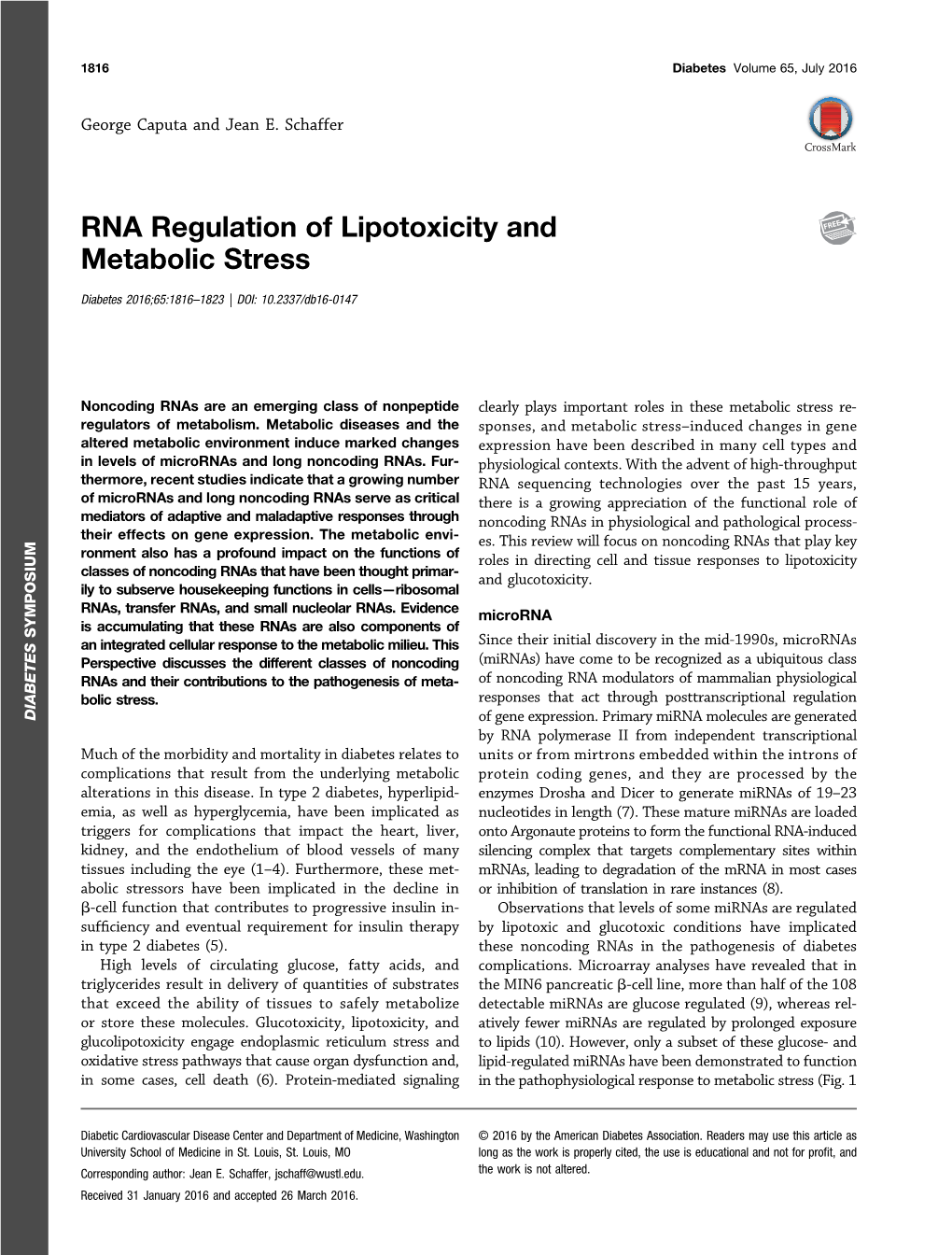 RNA Regulation of Lipotoxicity and Metabolic Stress