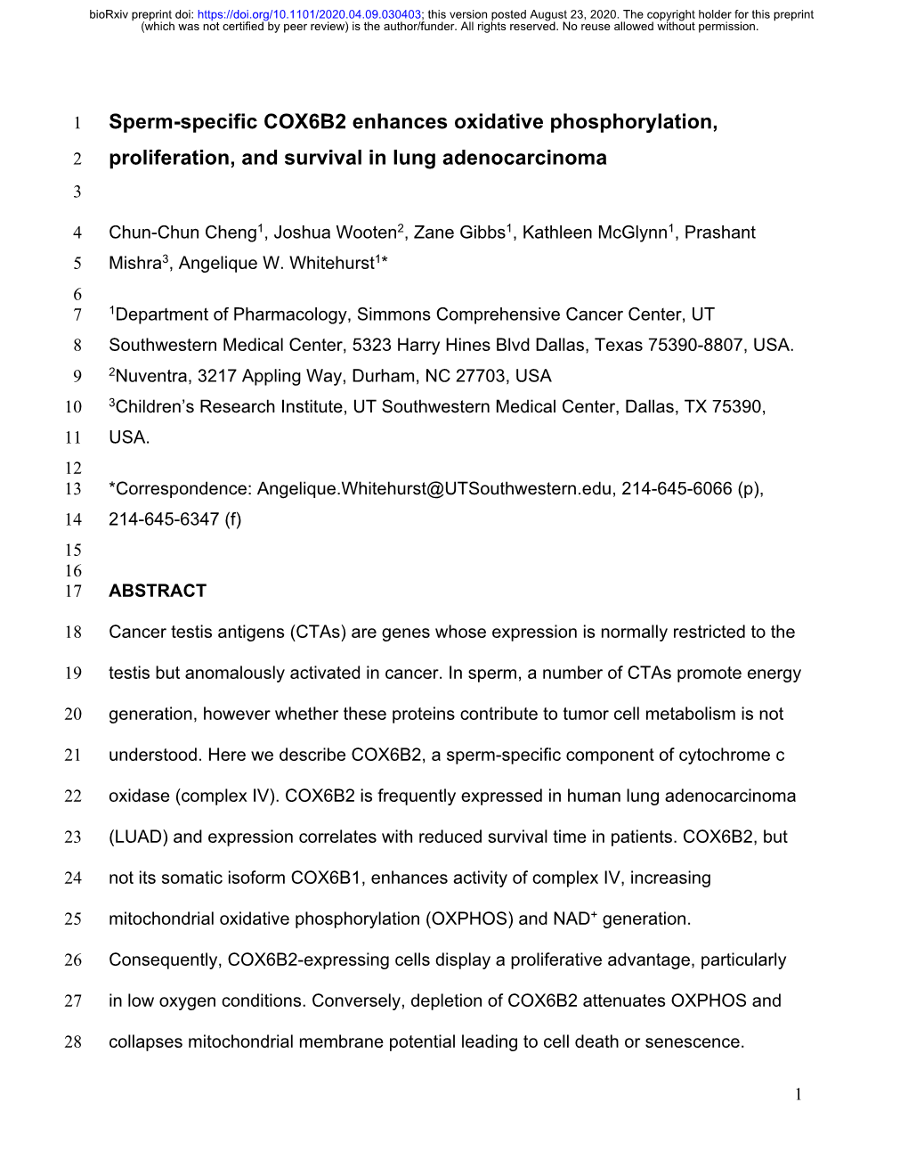 Sperm-Specific COX6B2 Enhances Oxidative Phosphorylation, 2 Proliferation, and Survival in Lung Adenocarcinoma 3