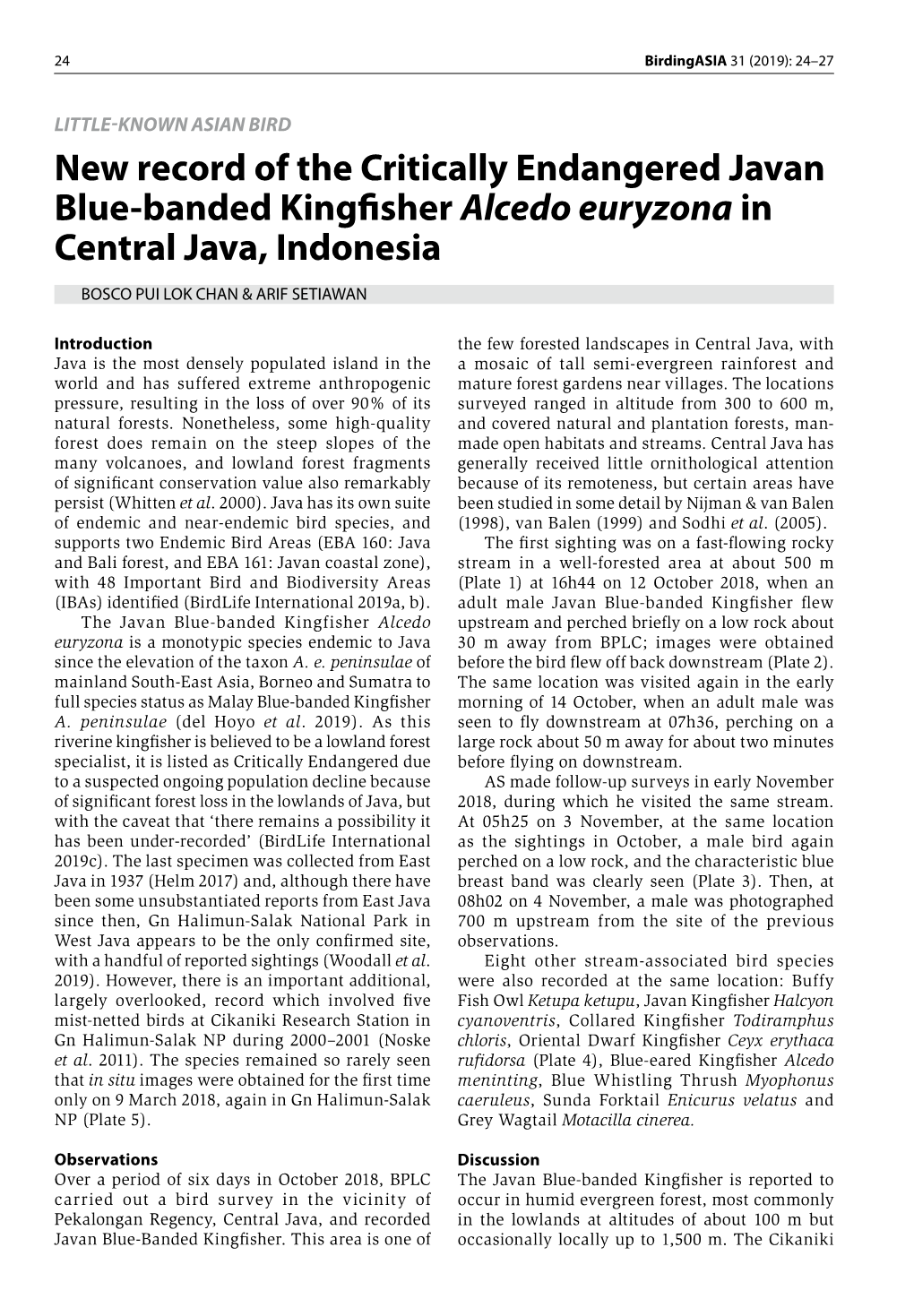 New Record of the Critically Endangered Javan Blue-Banded Kingfisher Alcedo Euryzona in Central Java, Indonesia