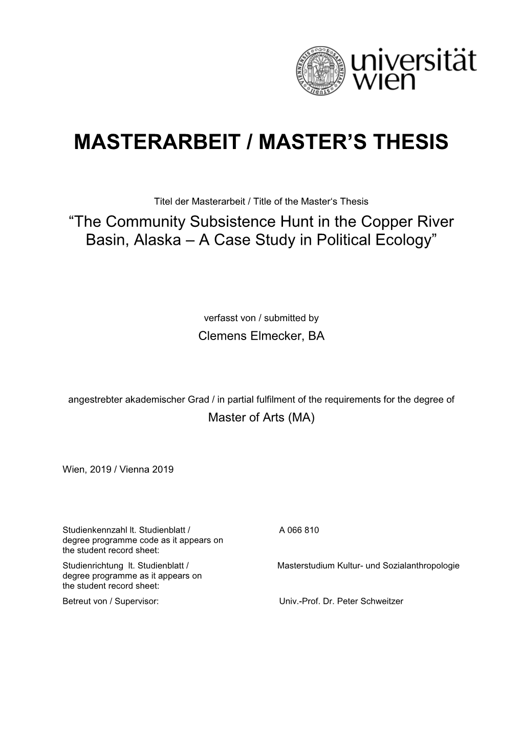 Masterarbeit / Master's Thesis