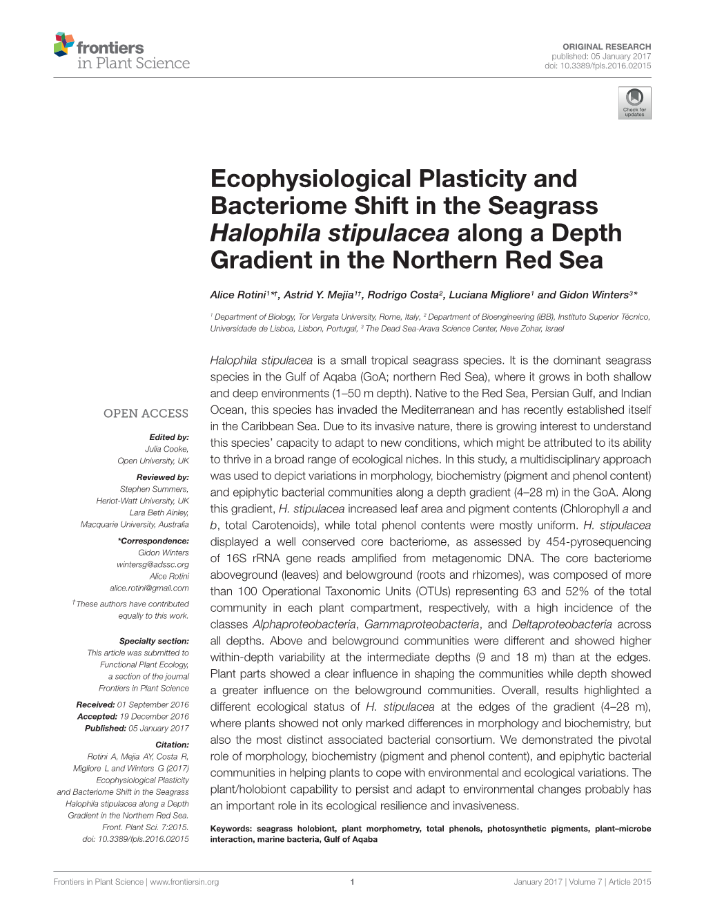 Ecophysiological Plasticity and Bacteriome Shift in the Seagrass Halophila Stipulacea Along a Depth Gradient in the Northern Red Sea