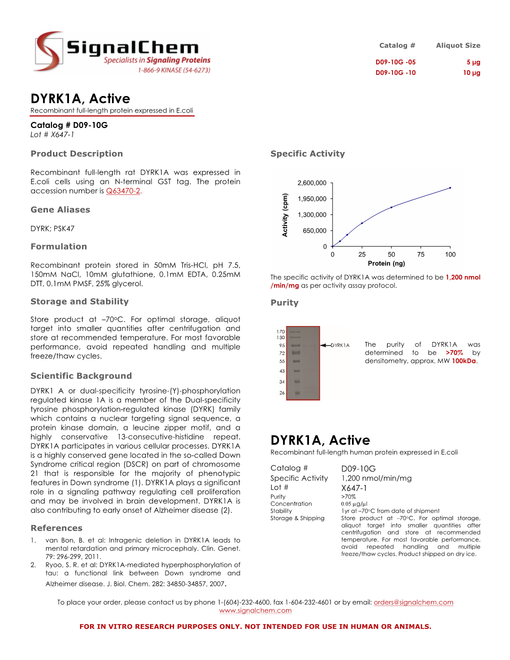 DYRK1A, Active Recombinant Full-Length Protein Expressed in E.Coli