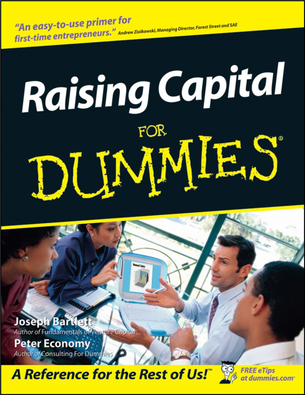 Raising Capital for Dummies®