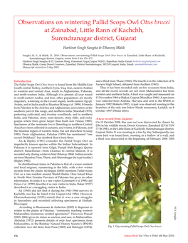 Observations on Wintering Pallid Scops Owl Otus Brucei at Zainabad, Little Rann of Kachchh, Surendranagar District, Gujarat