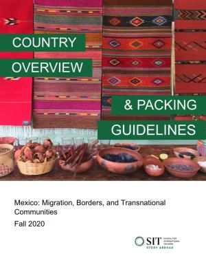 Mexico: Migration, Borders, and Transnational Communities Fall 2020