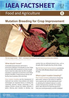 Mutation Breeding for Crop Improvement