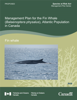 Management Plan for the Fin Whale (Balaenoptera Physalus), Atlantic Population in Canada