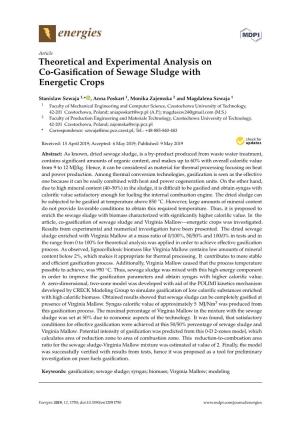 Theoretical and Experimental Analysis on Co-Gasification of Sewage