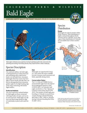 Bald Eagle ASSESSING HABITAT QUALITY for PRIORITY WILDLIFE SPECIES in COLORADO WETLANDS
