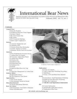 Bear News/Make PDF & CD