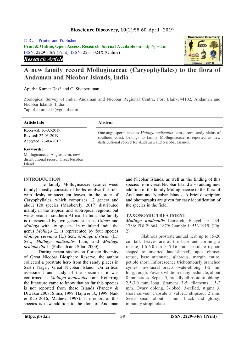 A New Family Record Molluginaceae (Caryophyllales) to the Flora of Andaman and Nicobar Islands, India