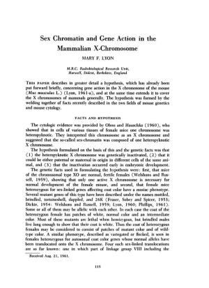 Sex Chromatin and Gene Action in the Mammalian X-Chromosome MARY F