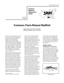 Common Farm-Raised Baitfish