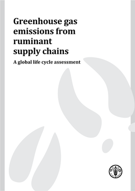 Greenhouse Gas Emissions from Ruminant Supply Chains – a Global Life Cycle Assessment