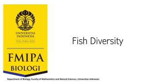 Fish Diversity