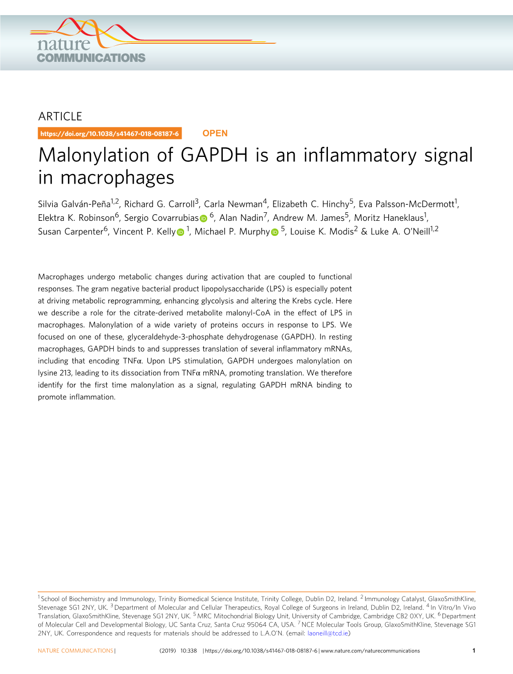 Malonylation of GAPDH Is an Inflammatory Signal in Macrophages