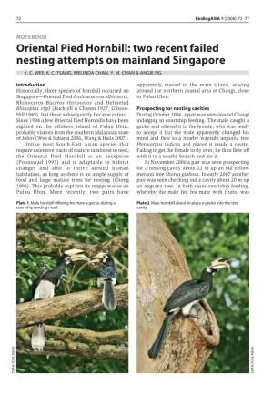 Oriental Pied Hornbill: Two Recent Failed Nesting Attempts on Mainland Singapore Y
