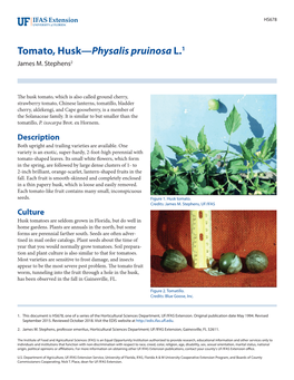 Tomato, Husk—Physalis Pruinosa L.1 James M