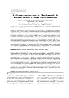 Azadinium (Amphidomataceae, Dinophyceae) in the Southwest Atlantic: in Situ and Satellite Observations