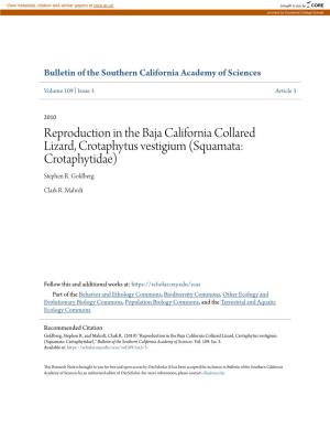 Reproduction in the Baja California Collared Lizard, Crotaphytus Vestigium (Squamata: Crotaphytidae) Stephen R