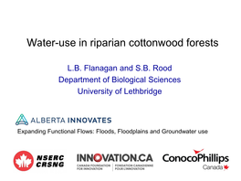 Water-Use in Riparian Cottonwood Forests