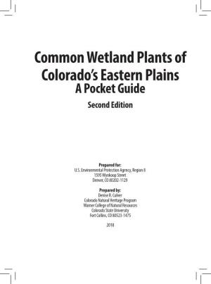 Common Wetland Plants of Colorado's Eastern Plains