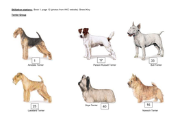 Skillathon Stations: Book 1, Page 12 (Photos from AKC Website) Breed Key