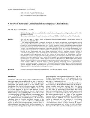 A Review of Australian Conescharellinidae (Bryozoa: Cheilostomata)