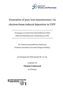 Generation of Pure Iron Nanostructures Via Electron-Beam Induced Deposition in UHV ______