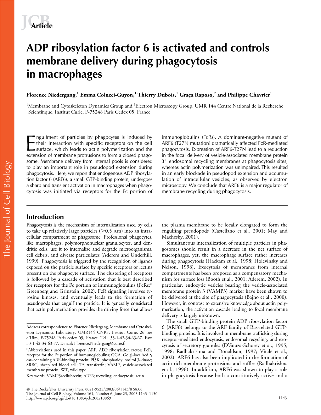 ADP Ribosylation Factor 6 Is Activated and Controls Membrane Delivery