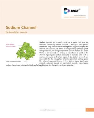 Sodium Channel Na Channels;Na+ Channels