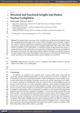 Structural and Functional Insights Into Human Nuclear Cyclophilins