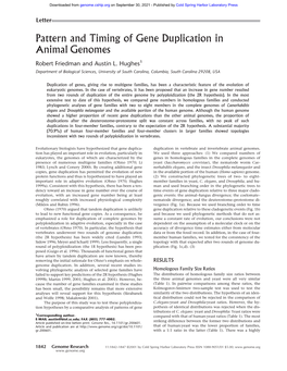 Pattern and Timing of Gene Duplication in Animal Genomes