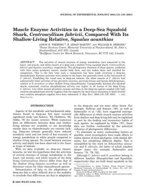 Muscle Enzyme Activities in a Deep-Sea Squaloid Shark, Centroscyllium Fabricii, Compared with Its Shallow-Living Relative, Squalus Acanthias JASON R