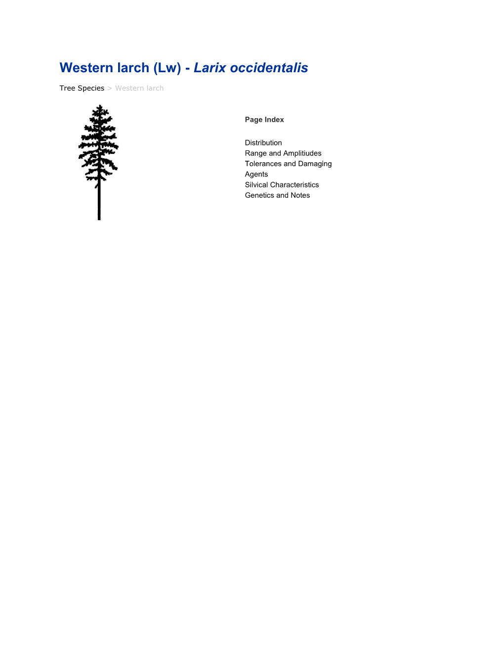 Western Larch (Lw) - Larix Occidentalis