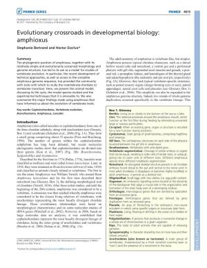 Evolutionary Crossroads in Developmental Biology: Amphioxus Stephanie Bertrand and Hector Escriva*