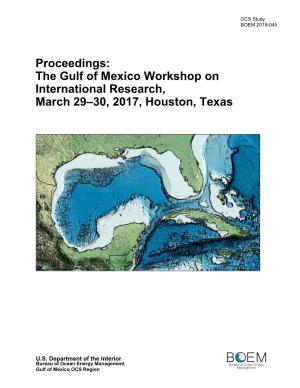 The Gulf of Mexico Workshop on International Research, March 29–30, 2017, Houston, Texas