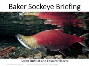 Baker Sockeye Briefing