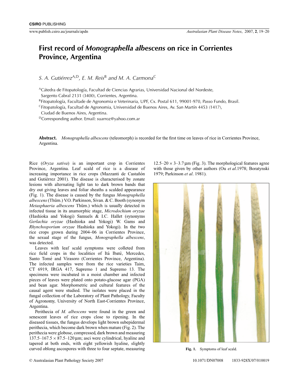 First Record of Monographella Albescens on Rice in Corrientes Province, Argentina