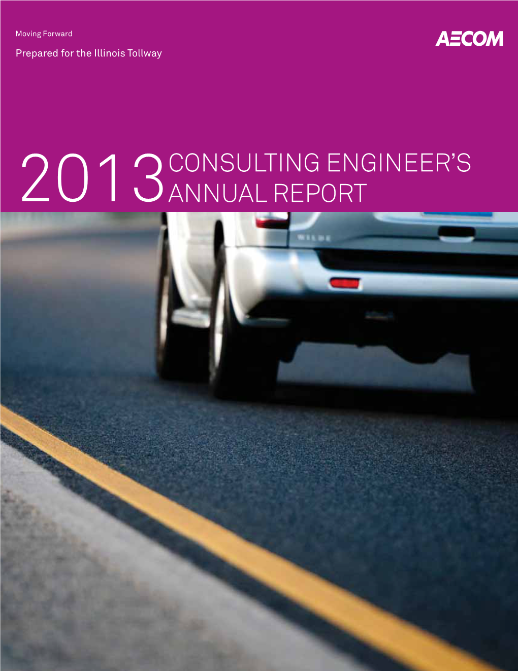 2013 Consulting Engineer's Annual Report