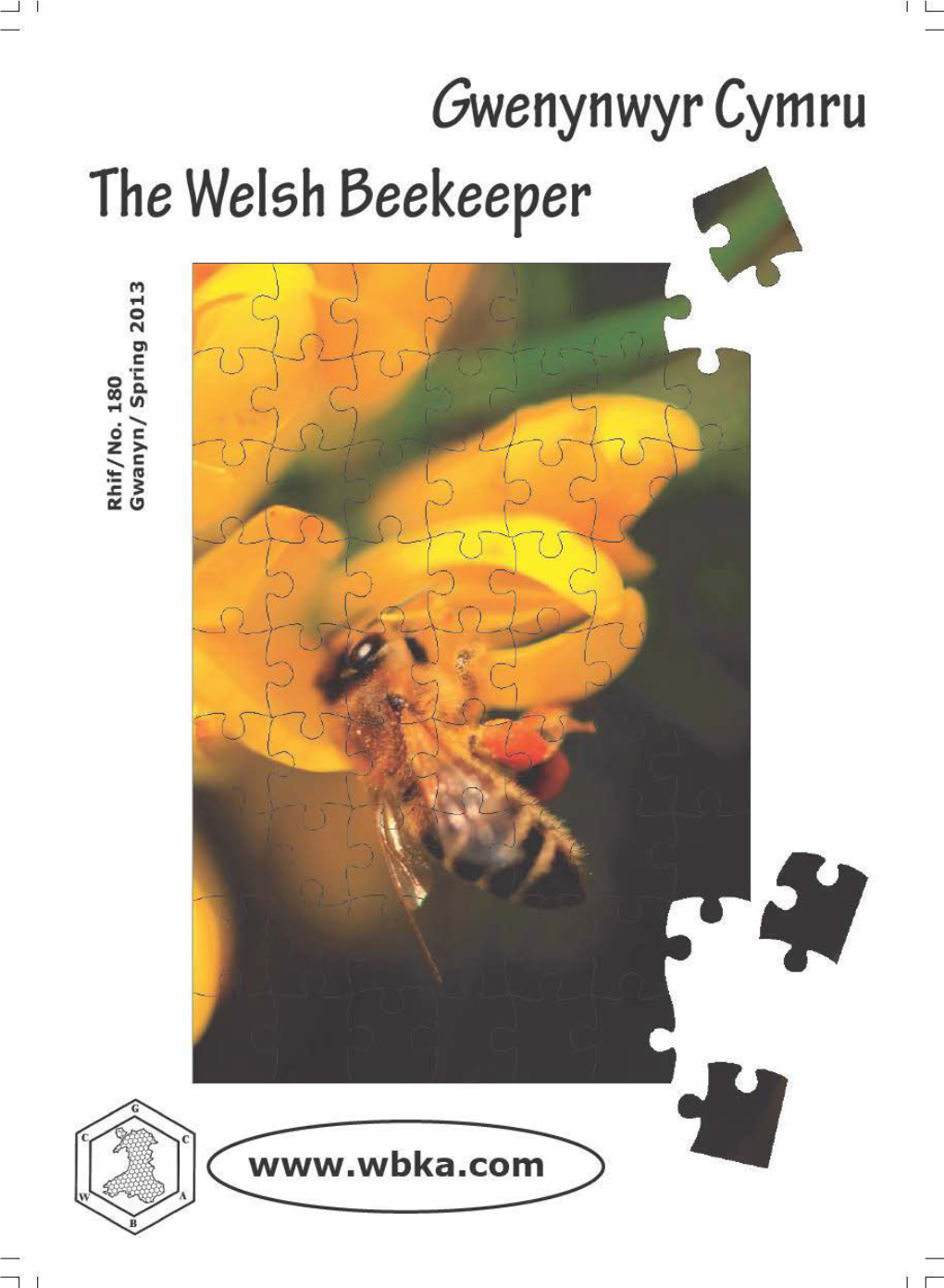Welsh Beekeepers' Association Cymdeithas Gwenynwyr Cymru
