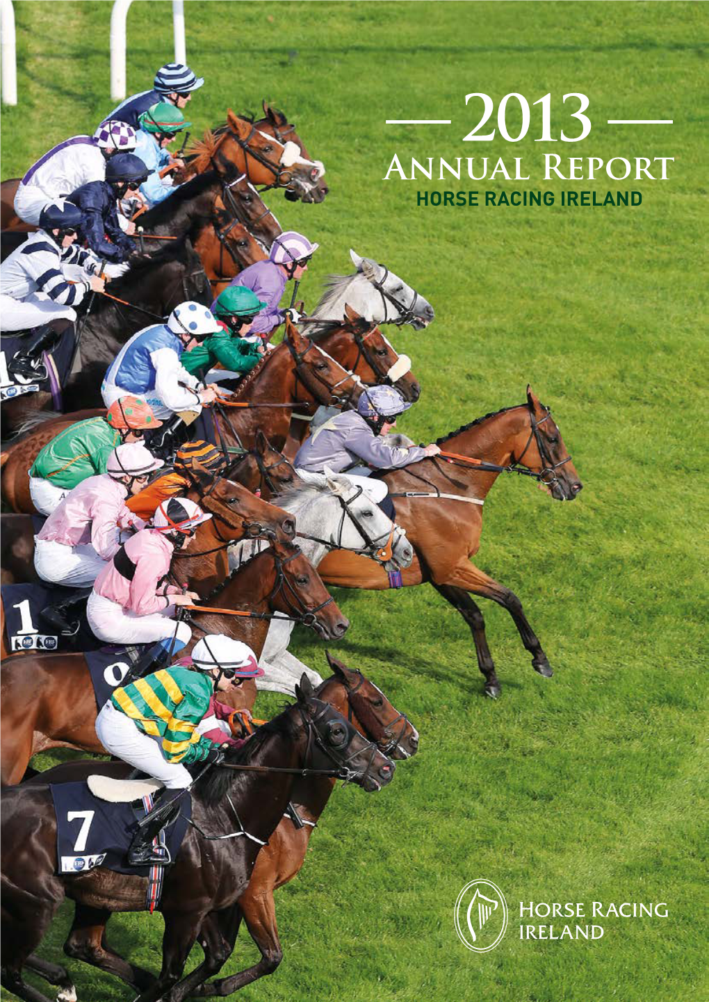 HRI Annual Report 2013.Pdf