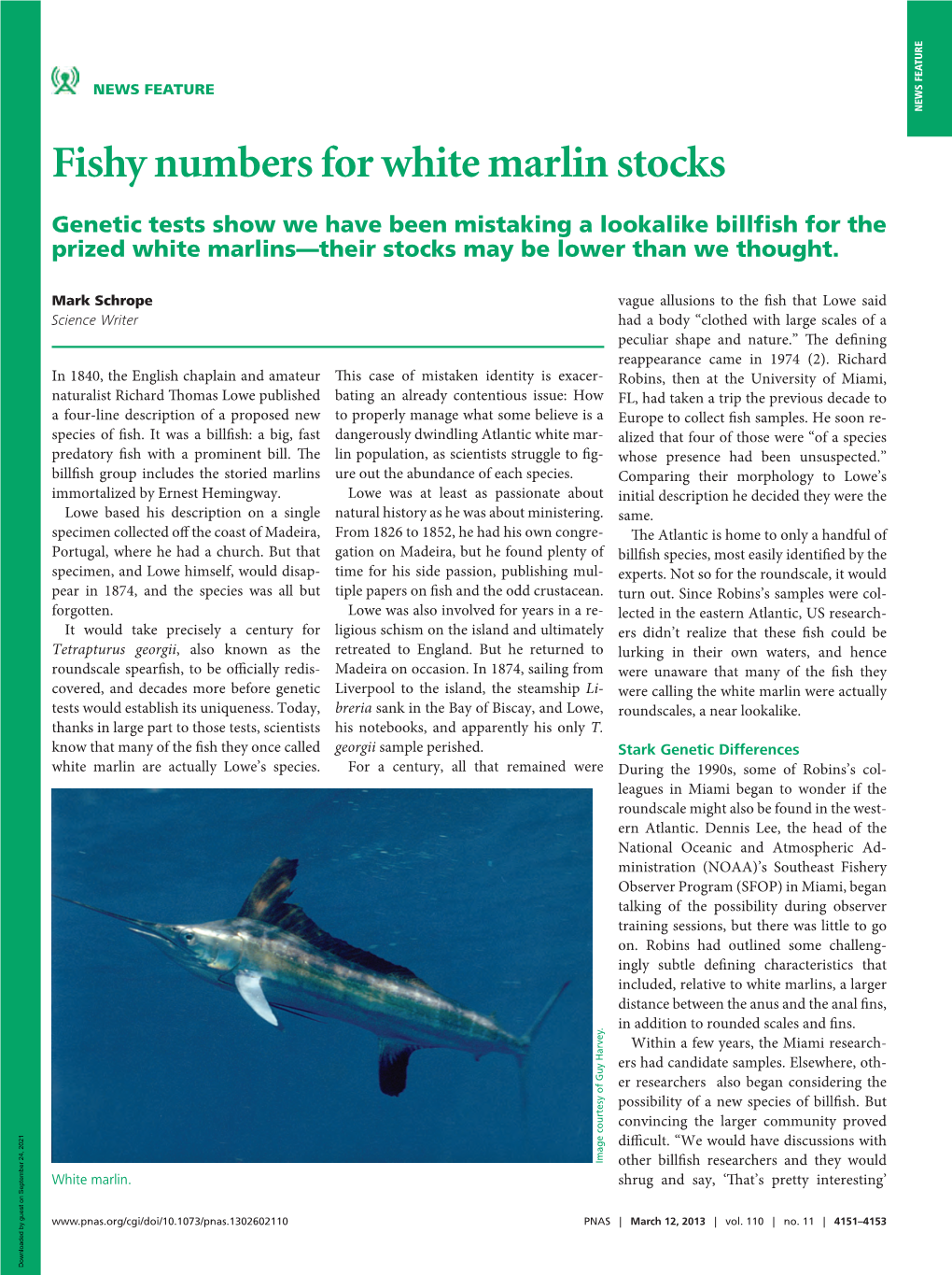 Fishy Numbers for White Marlin Stocks