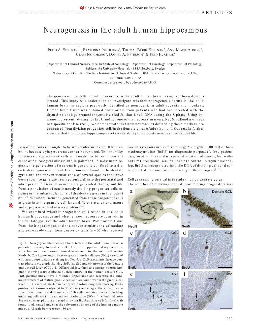 Neurogenesis in the Adult Human Hippocampus