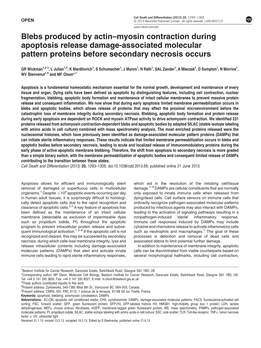 Myosin Contraction During Apoptosis Release Damage-Associated Molecular Pattern Proteins Before Secondary Necrosis Occurs