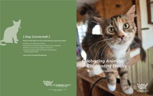 Annual Report 2010 [ Table of Contents ]