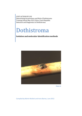 Dothistroma Isolation and Molecular Identification Methods