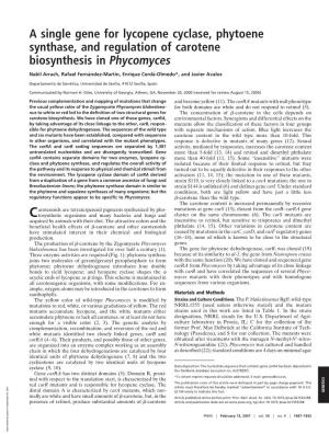 A Single Gene for Lycopene Cyclase, Phytoene Synthase, and Regulation of Carotene Biosynthesis in Phycomyces