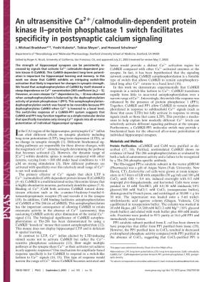 Calmodulin-Dependent Protein Kinase II–Protein Phosphatase 1 Switch Facilitates Specificity in Postsynaptic Calcium Signaling
