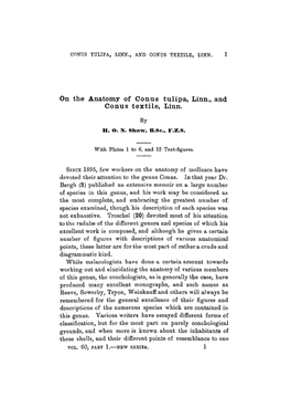 On the Anatomy of Conus Tulipa, Linn., and Conus Textile, Linn